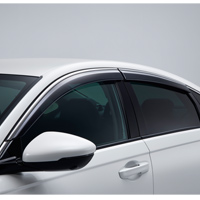 Door visor